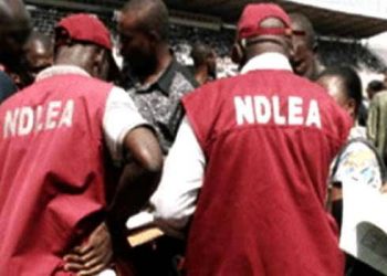 NDLEA seizes over N600m worth of drugs at Port Harcourt Airport