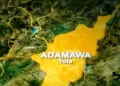 Adamawa: Police arrest 87 kidnappers, rescue 20 victims in three months