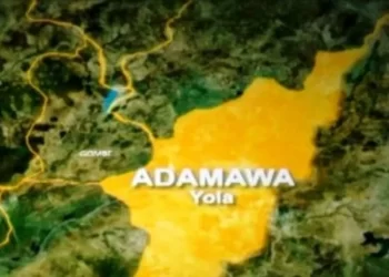 Adamawa: Police arrest 87 kidnappers, rescue 20 victims in three months