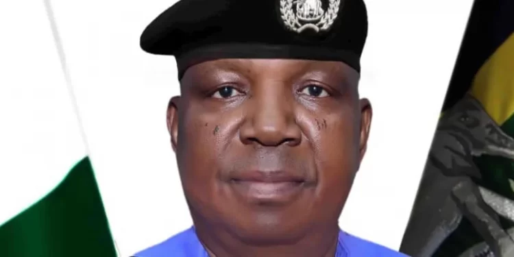 Suspected bandits release Bauchi village head, son, from captivity