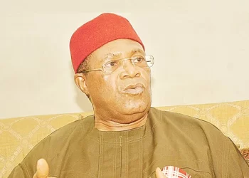 Without partnership, Nigeria’s presidency’ll continue to elude Ndigbo –Nwodo, ex-PDP national chairman