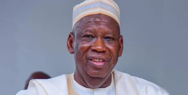 Kano pays NECO exam fees for 29,031 students