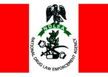 NDLEA Arrests Suspects, Seizes US, Dubai-bound Drugs At Lagos Airport