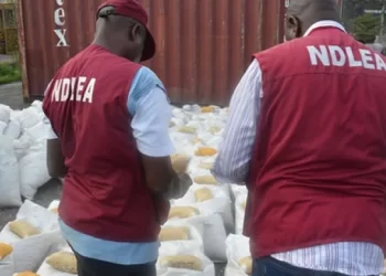 NDLEA arrests 218 suspects, seizes 1,471kg drugs in Imo
