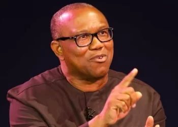 Peter Obi returns from Egypt