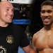 Usyk bout: Joshua’ll lose unless I coach him, says Fury