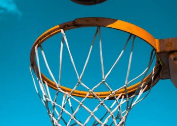 THE NIGERIA BASKETBALL FEDERATION