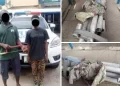 Two suspected vandals arrested in Lagos