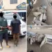 Two suspected vandals arrested in Lagos