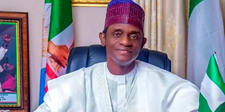 Chinese investors to cultivate 10,000 hectares of rice in Yobe – Buni