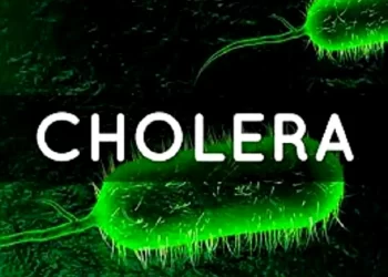 Cholera outbreak kills 5 in Kano