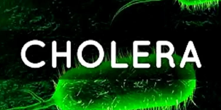 Cholera outbreak kills 5 in Kano