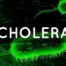 Cholera outbreak kills 5 in Kano