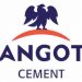 Dangote Cement unveils plan to create 25 millionaires monthly