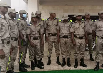 How Ebubeagu killed my seven brothers in my presence – Survivor