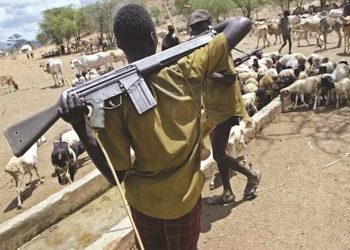 Two Killed as Suspected Herdsmen Attack Enugu Community