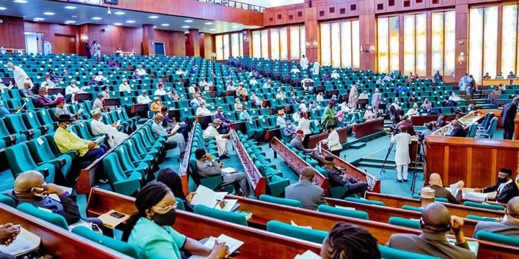 Insecurity: Reps warn states against arms bearing, propose state police