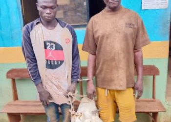 Police Arrest Two Men For Stealing Sallah Ram In Ogun (Photo)