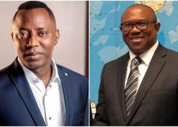 Support Sowore instead of Obi – Ex-Labour Party chair