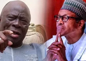 End killings of innocent Nigerians, Afenifere tells Buhari