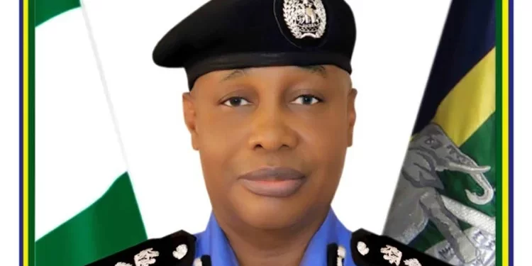 IGP to pay N1m compensation for parading businessman