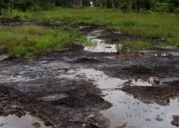 Shell confirms spill, discharges oil into Ogoni