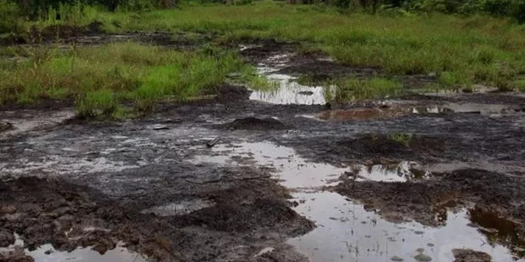 Shell confirms spill, discharges oil into Ogoni