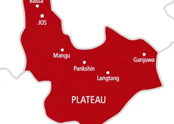Woman delivers quadruplets in Plateau, seeks help