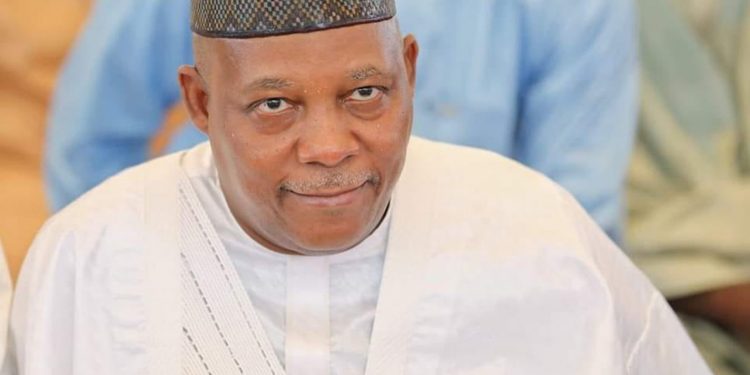 Northern group insists on Shettima, flays Lagos ‘sponsored’ protest