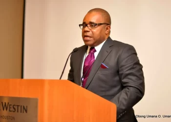 Audit, annexation of NDDC initiated by presidency, not Umana —  Niger Delta Network