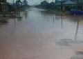 233 LGs, 32 states prone to flooding – NEMA