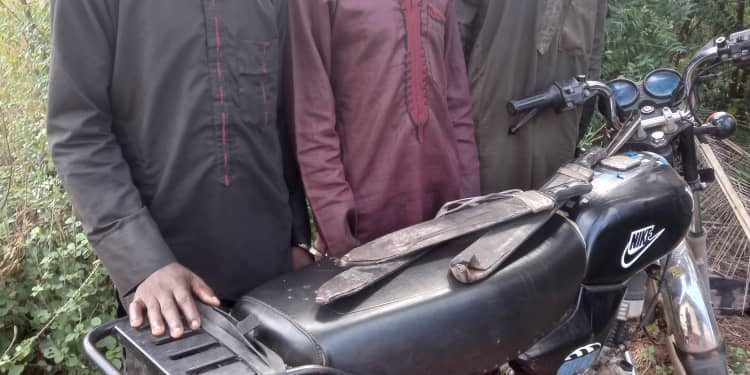 Police arrest three suspected kidnappers in Ogun forest, rescue victims