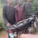 Police arrest three suspected kidnappers in Ogun forest, rescue victims