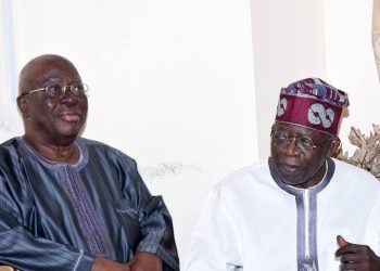 ‘Baba has turned Afenifere into his personal estate’ – Tinubu knocks Ayo Adebanjo over his endorsement of Peter Obi