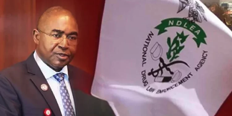 FG freezes 600 accounts, seizes 249 luxury vehicles