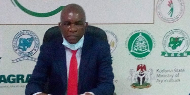 Insecurity hampering seed provision to northern farmers –Agrobiz boss