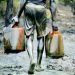 Navy arrests three suspected oil thieves in A’Ibom