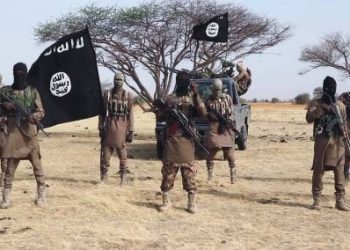 ISWAP Terrorists Go On Rampage, Kidnap Policeman, 7 CJTF, Hunters In Borno