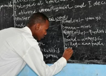 47 public school teachers suffering from mental health issues — Osun commissioner