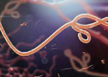 Resurgence of Ebola requires drastic action