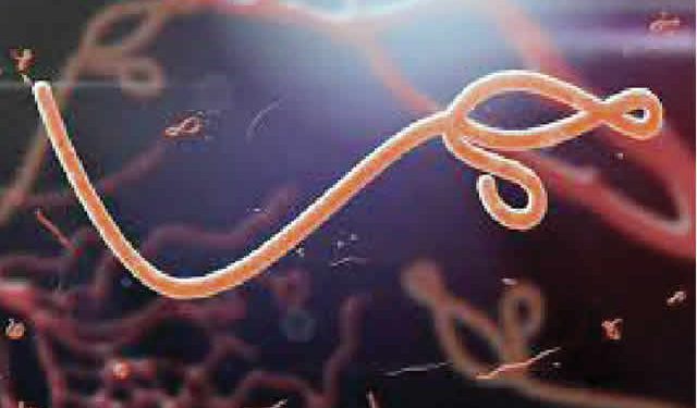 Resurgence of Ebola requires drastic action