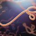 Resurgence of Ebola requires drastic action