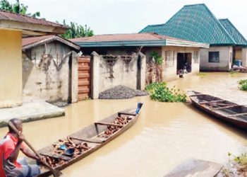 Tears, pain as 300 flood-submerged Anambra communities fear food scarcity