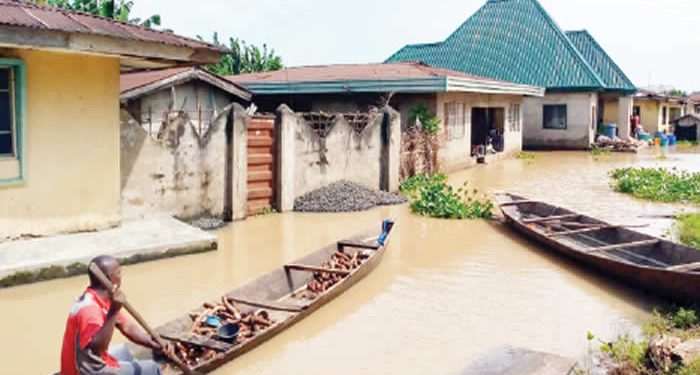 Tears, pain as 300 flood-submerged Anambra communities fear food scarcity
