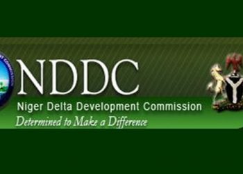 NDDC gets acting managing director
