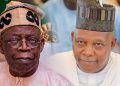 Tinubu-Shettima will replicate Lagos, Borno achievements – APC chieftain