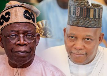 Tinubu-Shettima will replicate Lagos, Borno achievements – APC chieftain