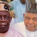 Tinubu-Shettima will replicate Lagos, Borno achievements – APC chieftain
