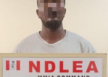 NDLEA uncovers cannabis, tramadol in crayfish sack