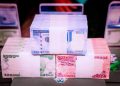 Buhari unveils new naira notes at Aso Rock